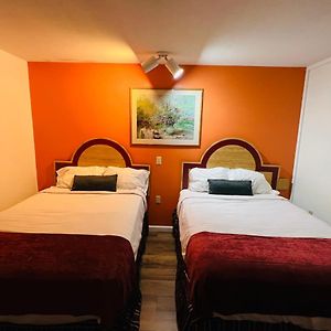 Double Room Two Double Beds